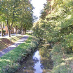 BRK Altstadtpark Umland - Blick auf den Mistelbach